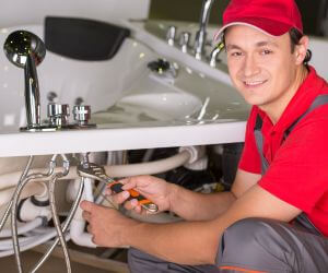 About Plumbers Pros Martelle, IA